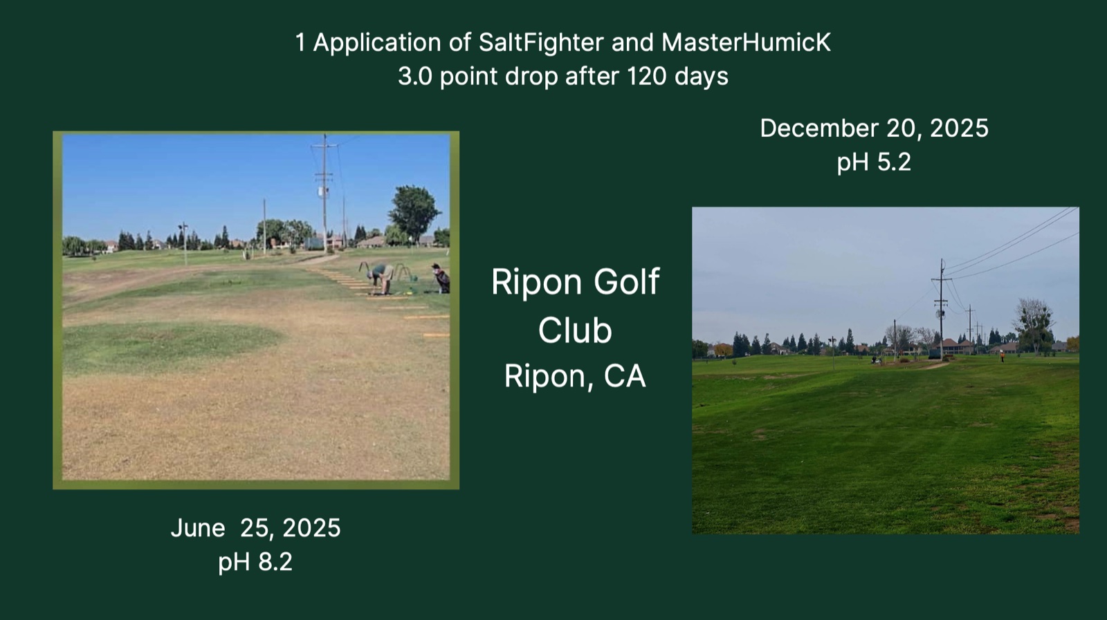 Ripon Golf Club fairway in June 2025 at pH 8.2 versus December 2025 at pH 5.2 after one application
